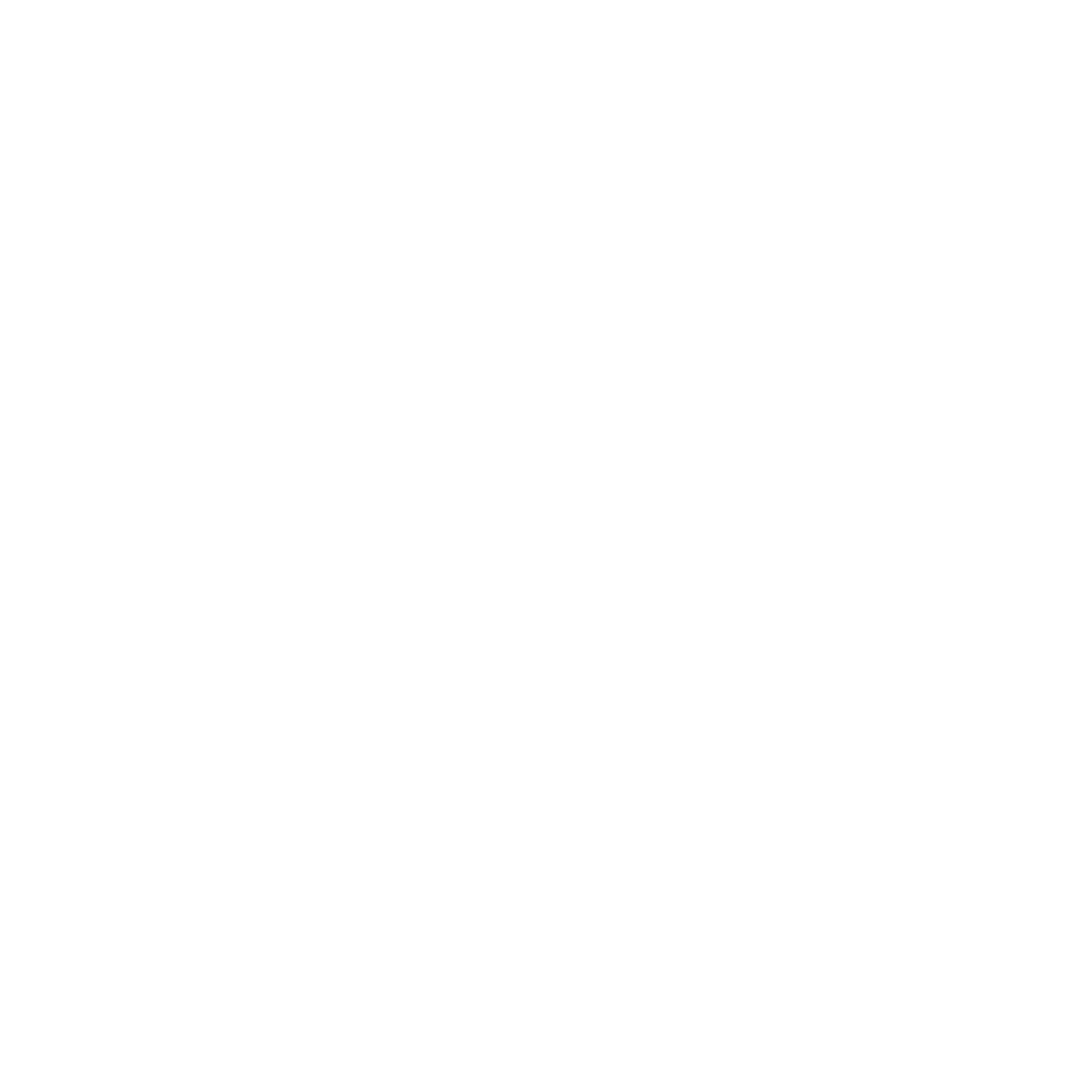 Hicks Burger